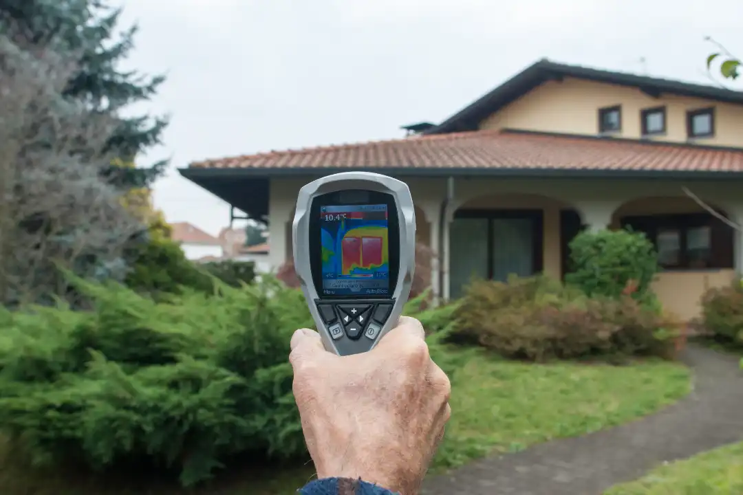 Pest and Building Inspection Maitland